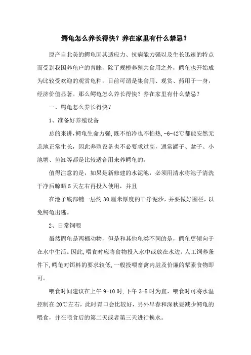 鳄龟怎么养长得快？养在家里有什么禁忌？