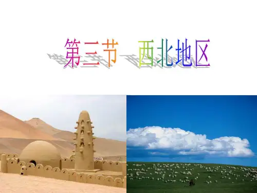 八年级下册地理第六章四大地理单元 第三节《西北地区》粤人教版 (4)