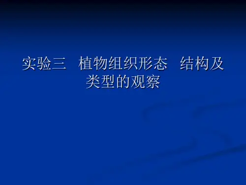 实验3植物组织形态结构及