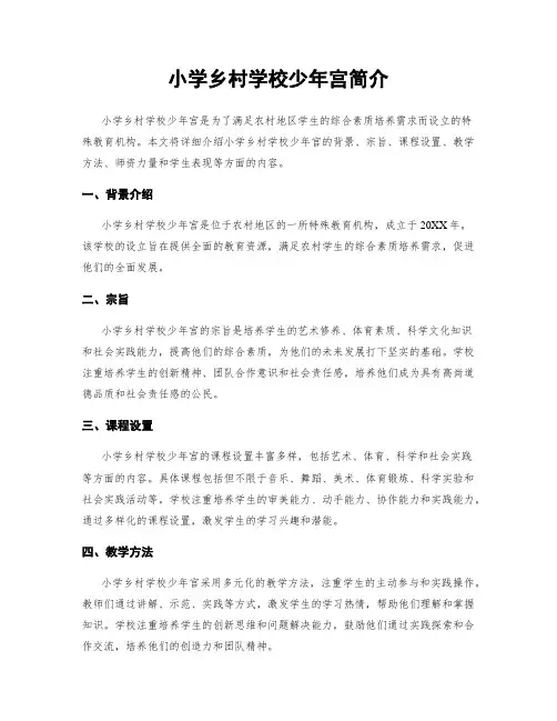小学乡村学校少年宫简介