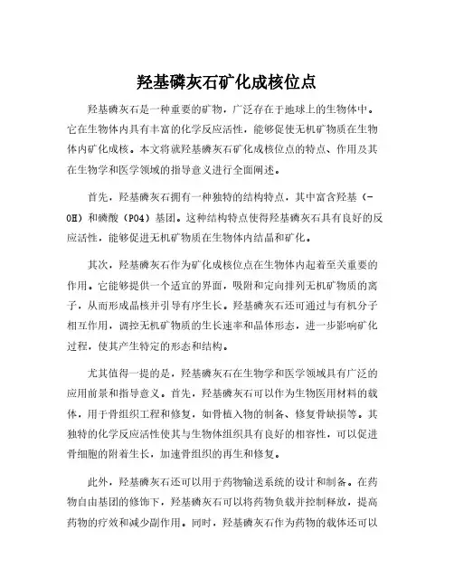 羟基磷灰石矿化成核位点