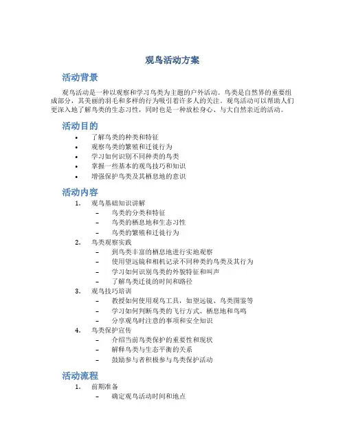 观鸟活动方案