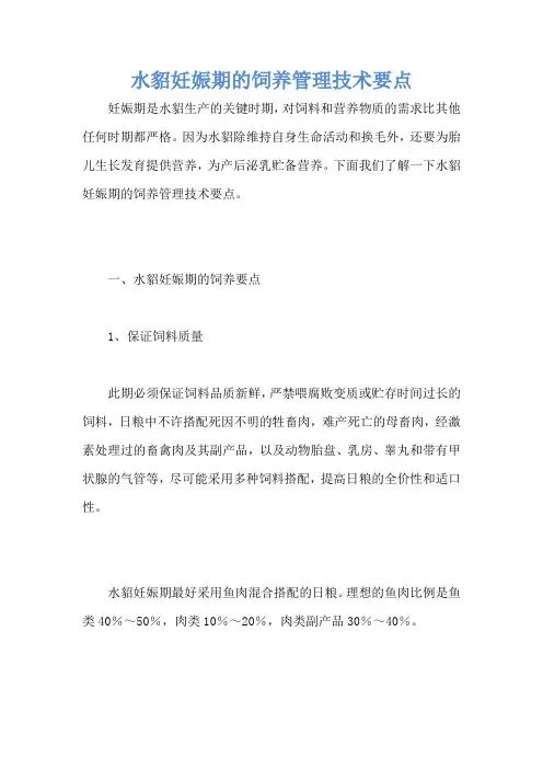 水貂妊娠期的饲养管理技术要点