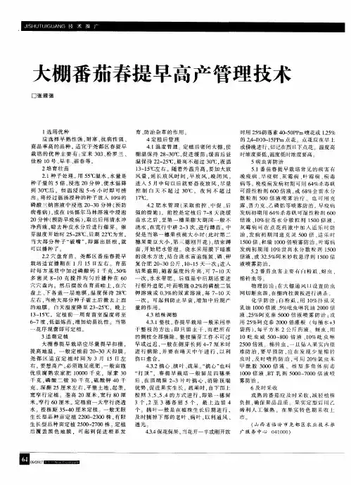 大棚番茄春提早高产管理技术