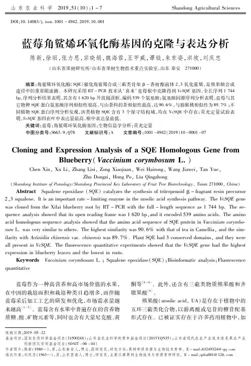 蓝莓角鲨烯环氧化酶基因的克隆与表达分析