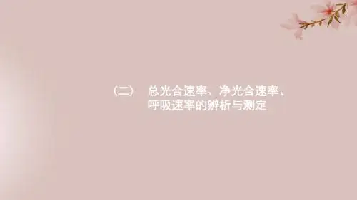 2020版高考生物学科素养微专题2总光合速率、净光合速率、呼吸速率的辨析与测定课件