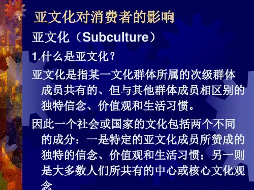 消费者行为学7文化与亚文化