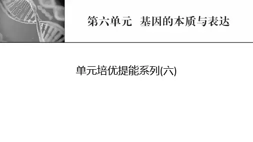 新高考生物人教版一轮复习课件第六单元基因的本质与表达单元培优提能系列
