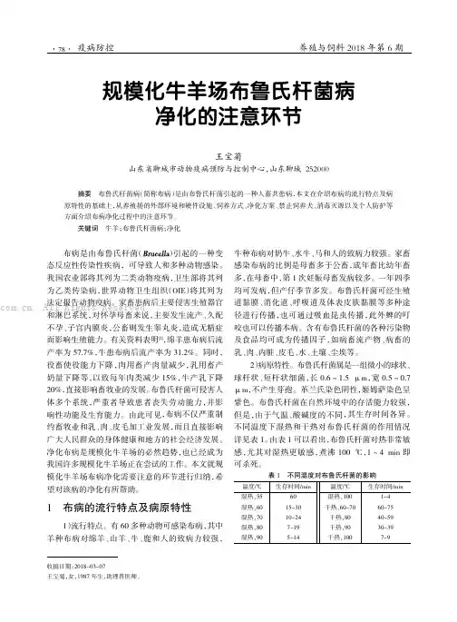 规模化牛羊场布鲁氏杆菌病净化的注意环节