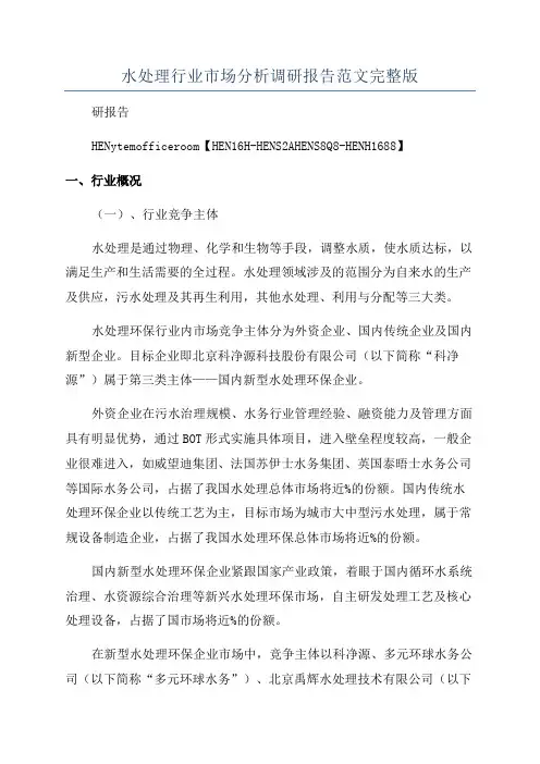 水处理行业市场分析调研报告范文完整版