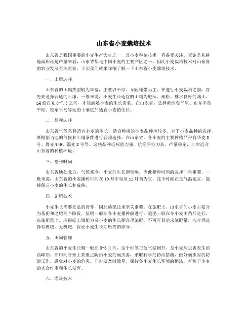山东省小麦栽培技术