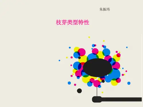 芽枝的种类特性