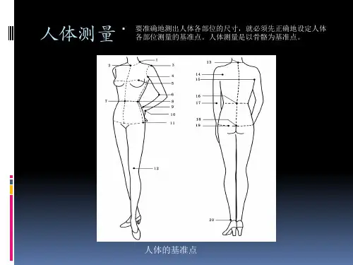 人体测量