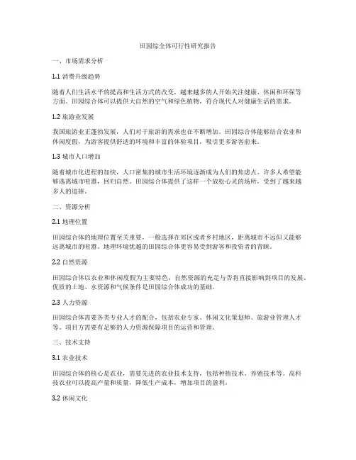 田园综全体可行性研究报告