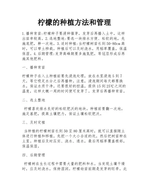 柠檬的种植方法和管理