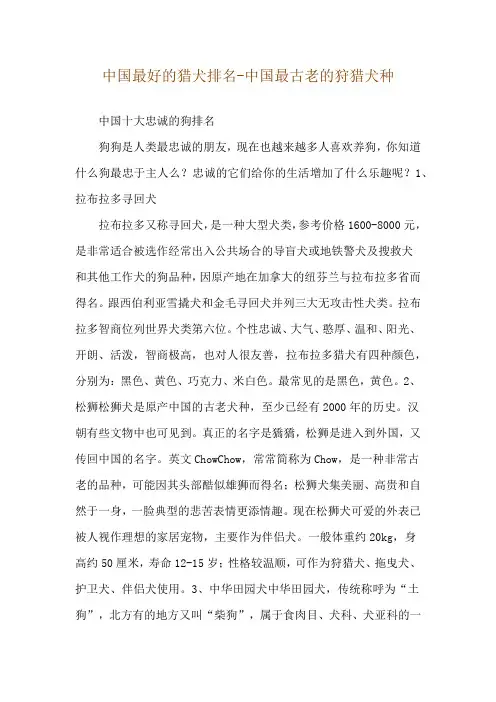 中国最好的猎犬排名-中国最古老的狩猎犬种