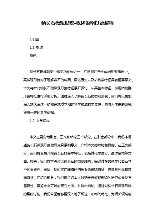 钠长石微观形貌-概述说明以及解释