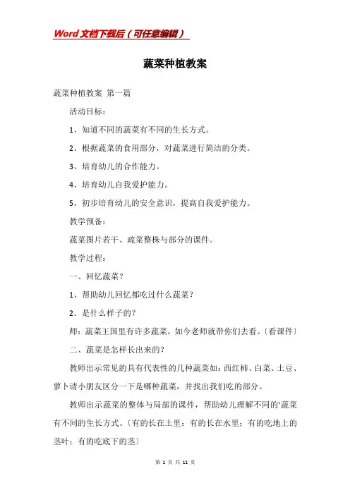 蔬菜种植教案