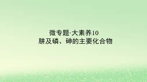 2024版新教材高考化学全程一轮总复习第四章非金属及其化合物微专题大素养10肼及磷砷的主要化合物课件