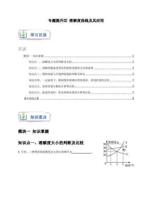 专题提升Ⅲ 溶解度曲线及其应用(原卷版)-2024-2025学年八年级科学上册讲练测(浙教版)