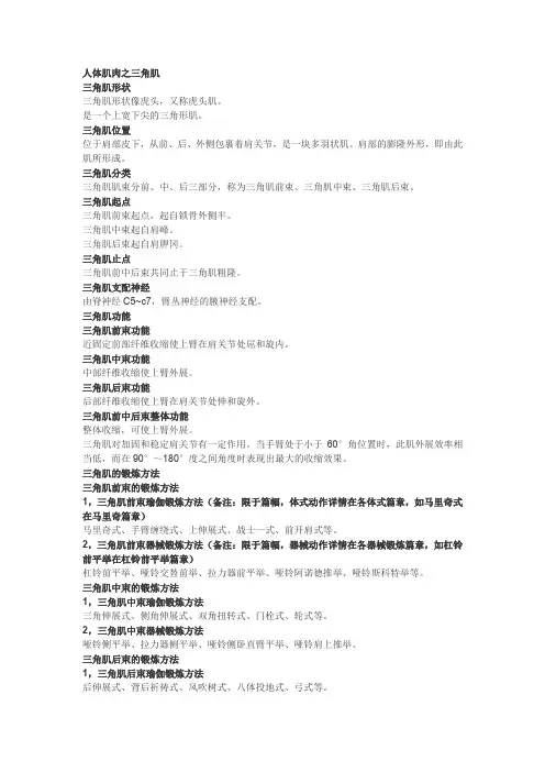 人体肌肉之三角肌