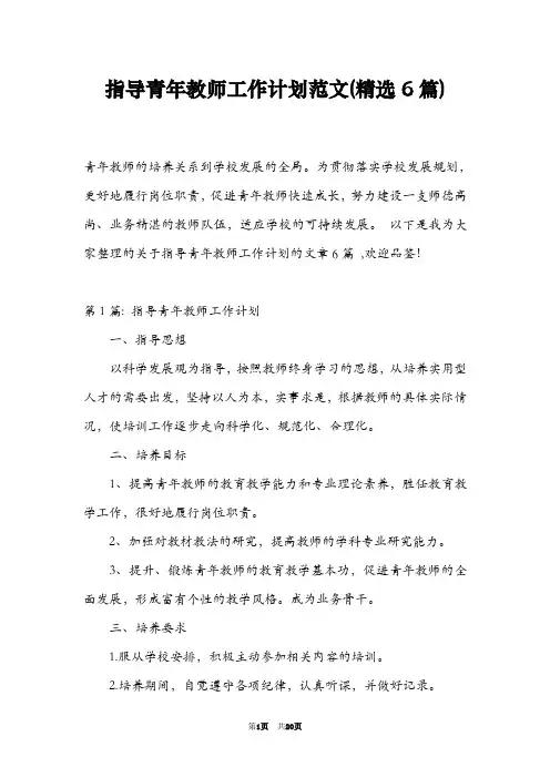指导青年教师工作计划范文(精选6篇)