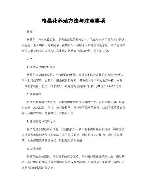格桑花养殖方法与注意事项