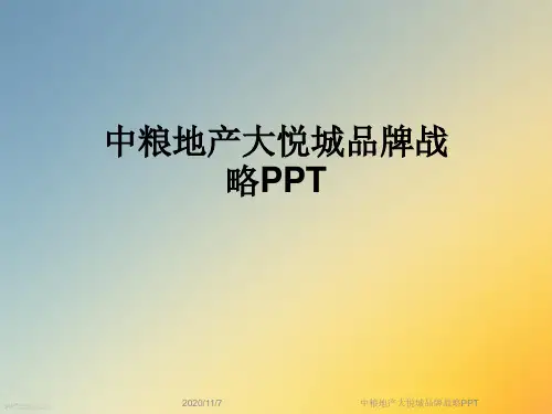 中粮地产大悦城品牌战略PPT