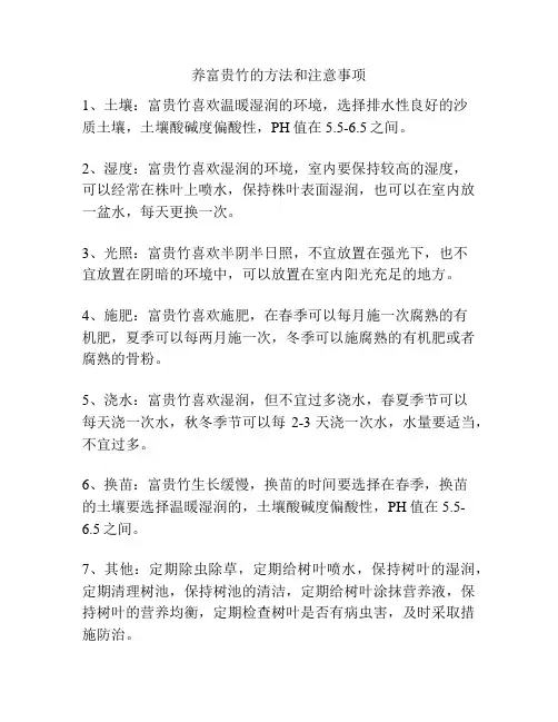 养富贵竹的方法和注意事项