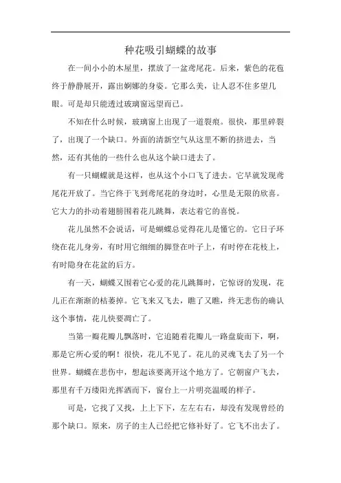 种花吸引蝴蝶的故事