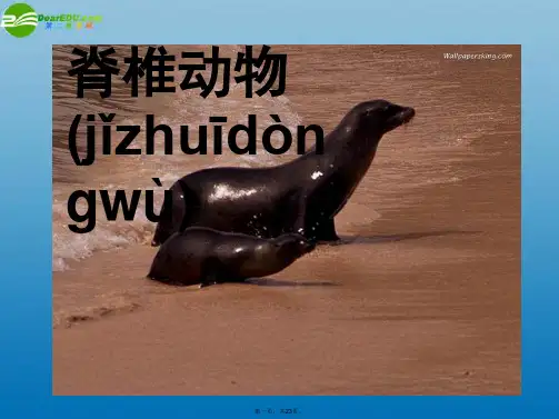 七年级科学上册 2.4.2 常见的动物课件 浙教版