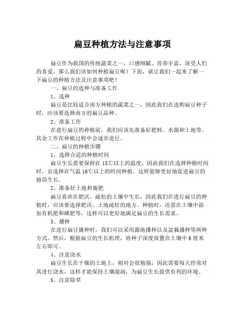 扁豆种植方法与注意事项