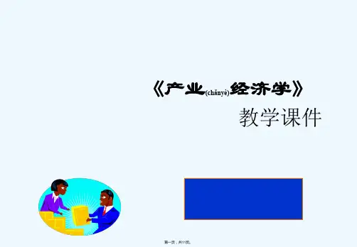 《产业经济学》PPT课件
