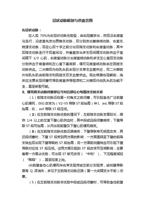 冠状动脉解剖与供血范围