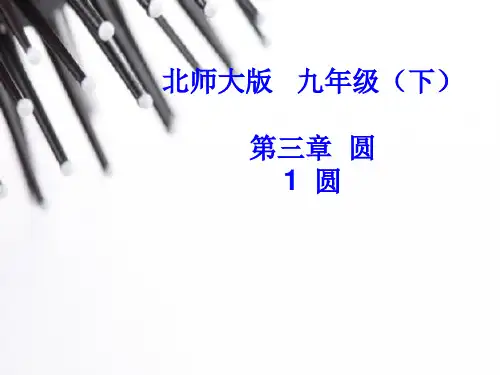 2015初三数学第三章 第一节 圆课件全面版