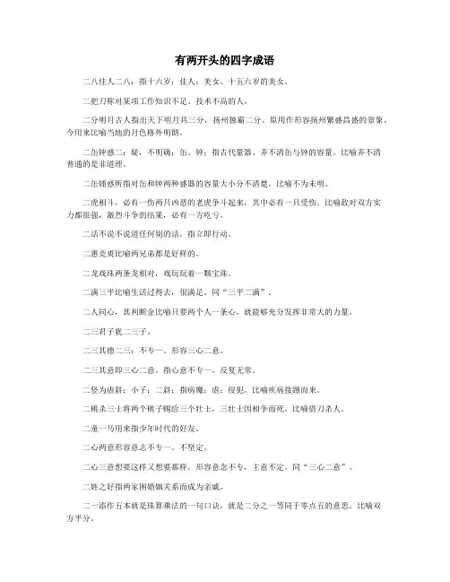 有两开头的四字成语