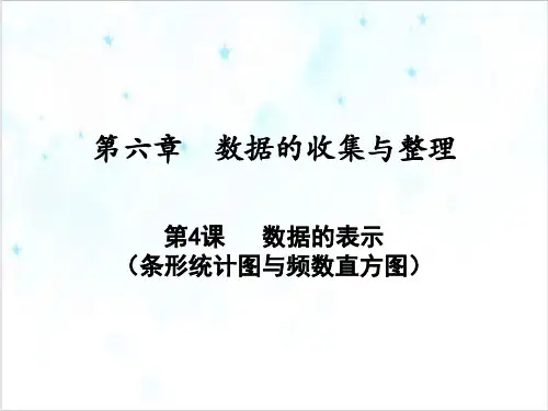 课件《直方图》实用PPT课件_人教版1
