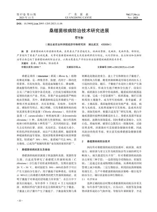 桑椹菌核病防治技术研究进展