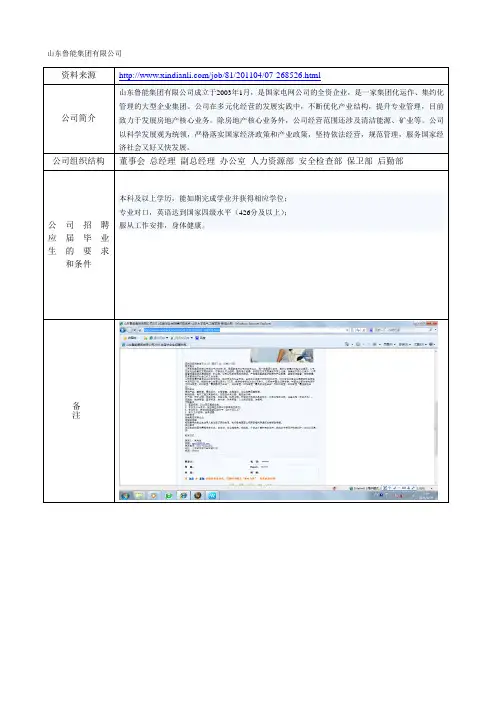 20个公司简介
