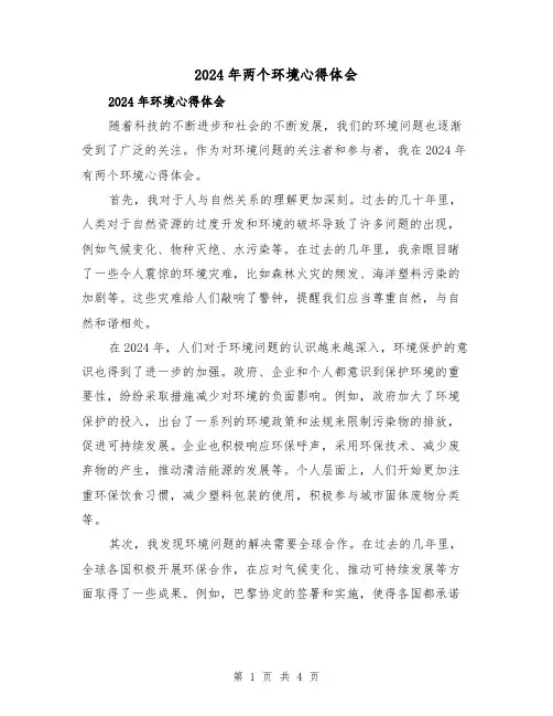 2024年两个环境心得体会(2篇)