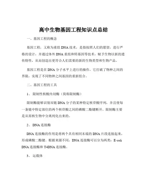 高中生物基因工程知识点总结