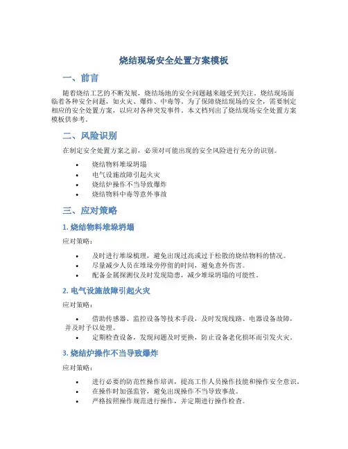烧结现场安全处置方案模板