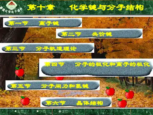 普通化学第十章 化学键与分子结构