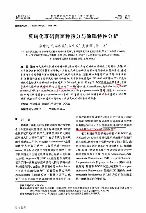 反硝化聚磷菌菌种筛分与除磷特性分析
