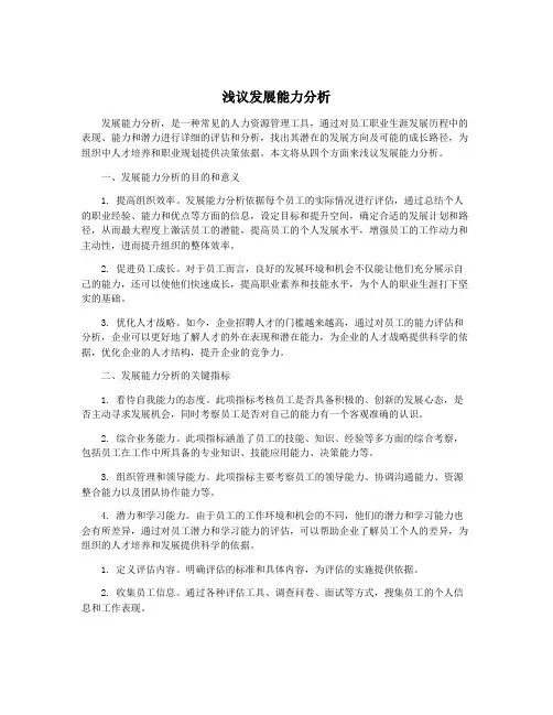 浅议发展能力分析