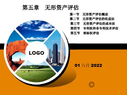 无形资产评估