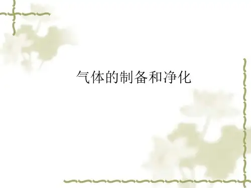 人教版初中化学复习课：气体的制备和净化 课件