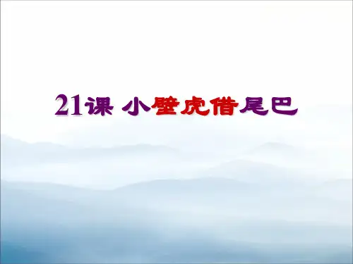 《小壁虎借尾巴》PPT【优秀课件PPT】
