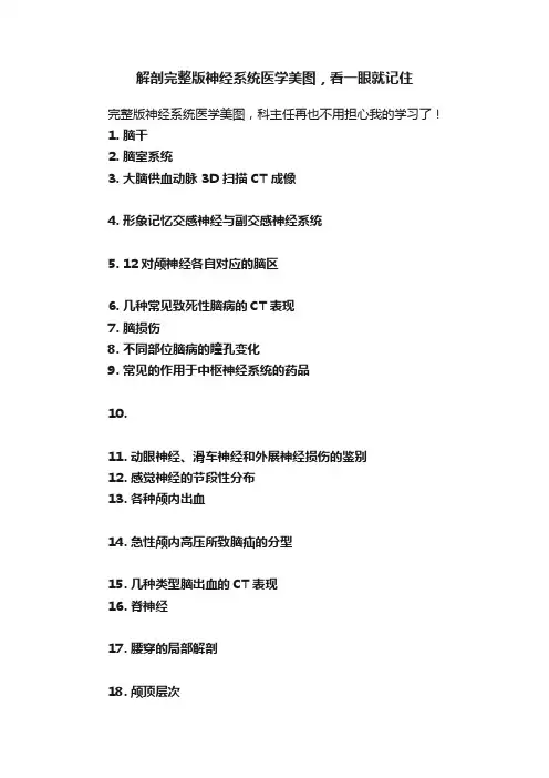 解剖完整版神经系统医学美图，看一眼就记住