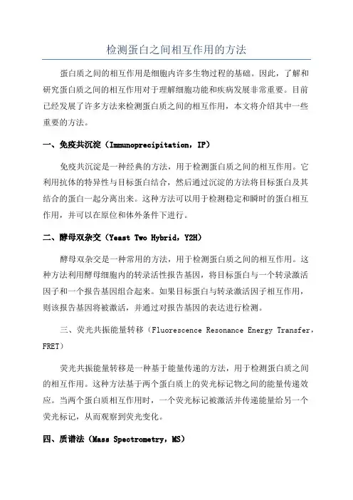 检测蛋白之间相互作用的方法